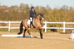 SBM_004684