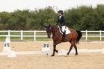 SBM_01019