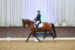 SBM_005223