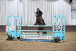 Class 5 - Senior Foxhunter - 1.20m Open portfolio