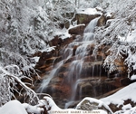 Cloudland Falls