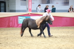 SBM_17498