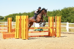 SBM_006585