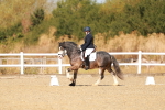 SBM_017797