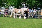 SBM_10136