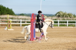 SBM_006295