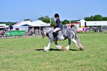 SBM_19367