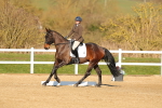SBM_003745