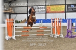 BPP_3817