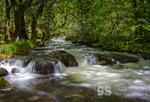 Afon Ysgethin near Talybont