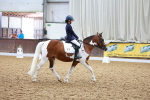 SBM_000419