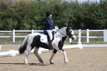 SBM_001215