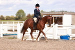 SBM_14252