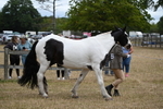 WJ6_8373