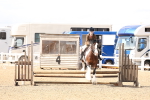 SBM_07332