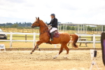 SBM_026935