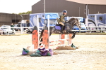 SBM_001990