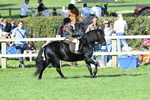 SBM_50343