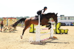 SBM_006599
