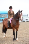 Class 805 - Ridden Veteran Horse portfolio