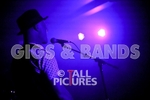 Peppered Ant Legs-143
