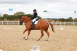 SBM_001911