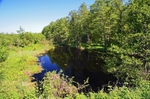 Biebrza area, Poland