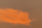 ACP_3603-1