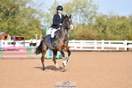 Saturday 28th - Wessex Ring portfolio