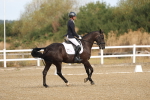 SBM_008190