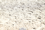 260705A-103721-19053