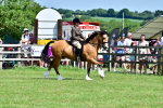 SBM_08008