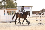 SBM_11642