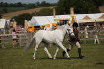 SBM_09259
