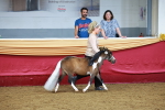SBM_17126