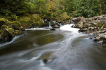 River Braan