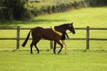 SBM_65643
