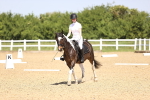 SBM_008588
