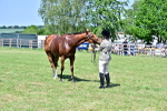 SBM_18183