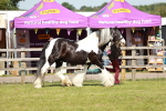 SBM_08777