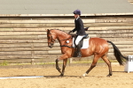 SBM_000234