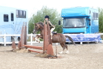 SBM_12211