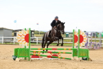 SBM_008640