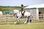 SBM_18610