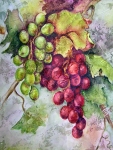 Antique Grapes