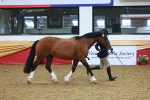 SBM_17841