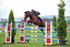 EQUISCOT 9245