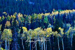 3HPhotography10-6-24_RMNP_0495_