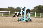 SBM_001995