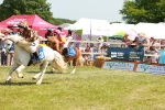 SBM_16892